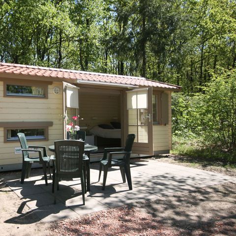 Chalet 4 personen - Kampeer Morgenster