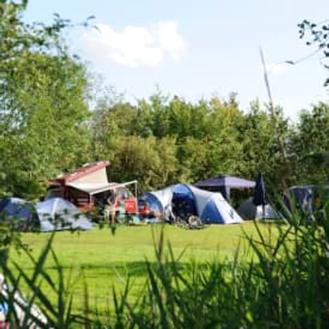 Kampeerplaats - Standaard