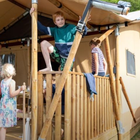 Safaritent 5 personen - Nieuweroord