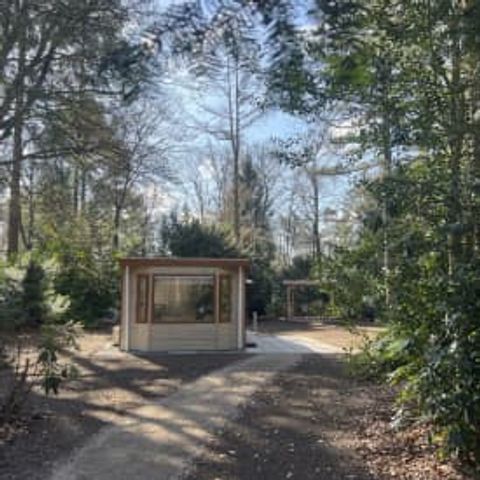 Chalet 3 personen - Dartheide