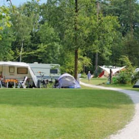 Kampeerplaats - Comfortplaats