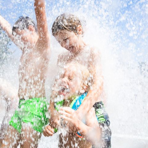 RCN Vakantiepark het Grote Bos - Utrechtse Heuvelrug - Afbeelding N°6