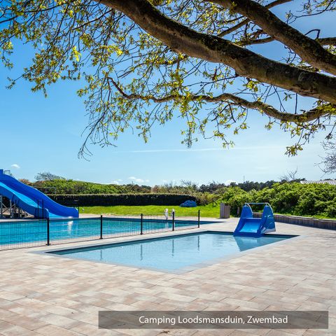 Texelcamping Loodsmansduin - Texel - Afbeelding N°4