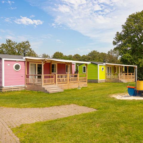 Chalet 6 personen - Korenbloem