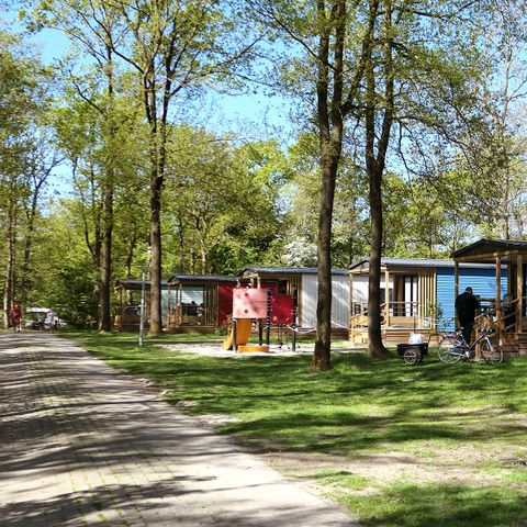 Chalet 4 personen - 2+2 (tot 12 jaar) Goudhaver