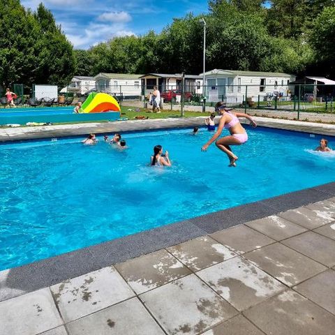 Verblijfpark Breebos - Antwerpen - Afbeelding N°6