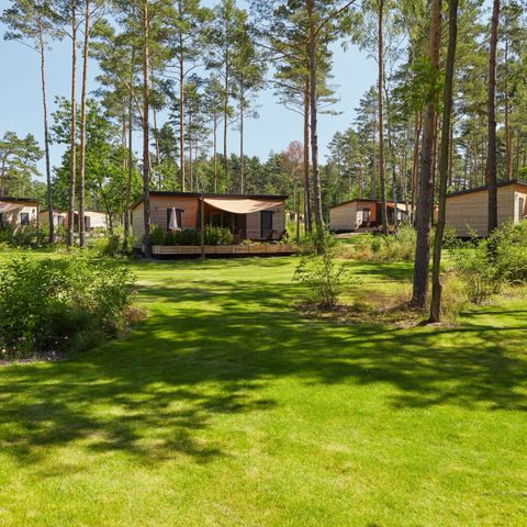 Stacaravan 4 personen - Woodland Home