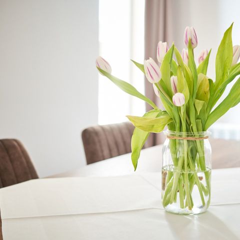 Bungalow 4 personen - Vakantiehuis Comfort