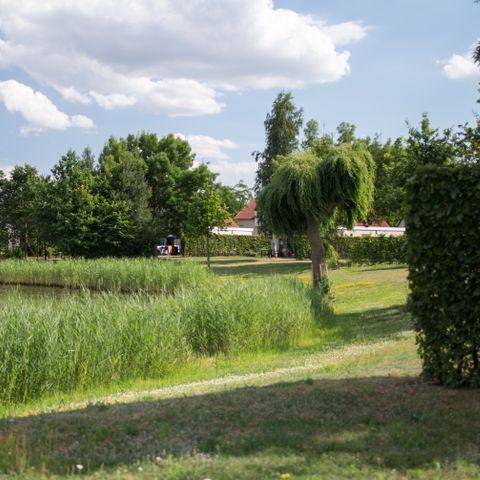 Resort Boschmolenplas - Maasgouw - Afbeelding N°3