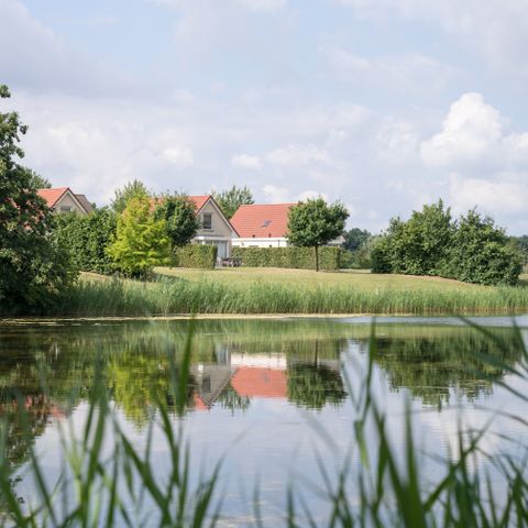 Resort Boschmolenplas - Maasgouw - Afbeelding N°2