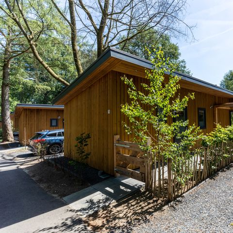Bungalow 5 personen - Heide Lodge Eco met Hottub óf Jacuzzi én Sauna