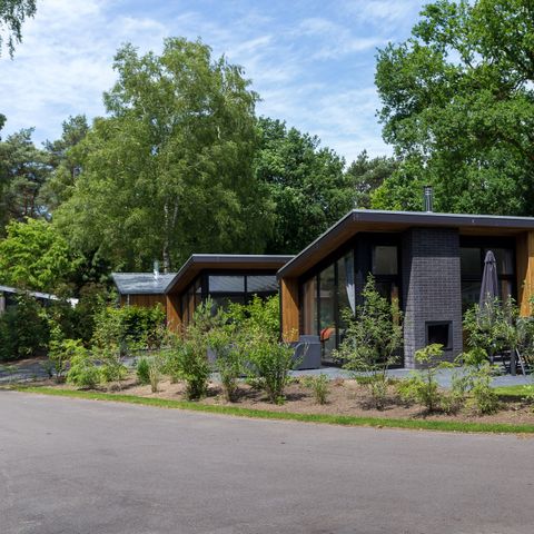 Bungalow 4 personen - Bos Lodge 55 Eco met Hottub