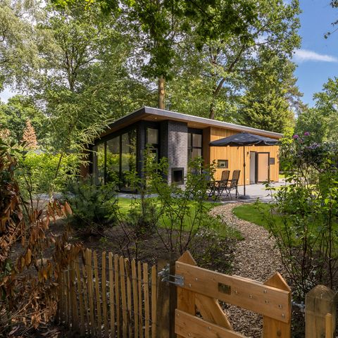 Bungalow 4 personen - Bos Lodge 55 Eco met Sauna