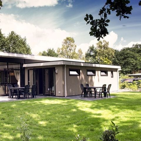 Park Berkenrhode - Ede - Afbeelding N°4