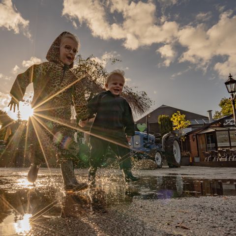 Landgoed Ruwinkel - Scherpenzeel - Afbeelding N°5