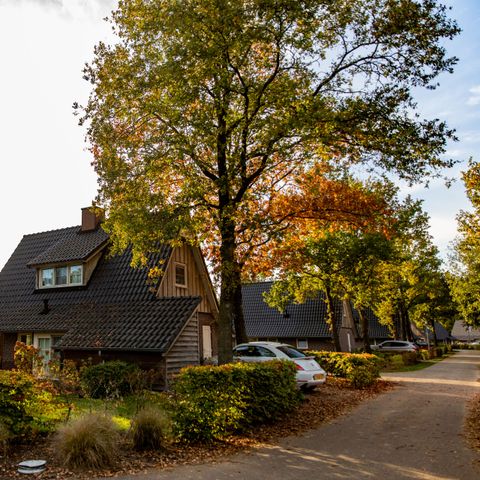 VAKANTIEHUIS 4 personen - Beukelaer Comfort