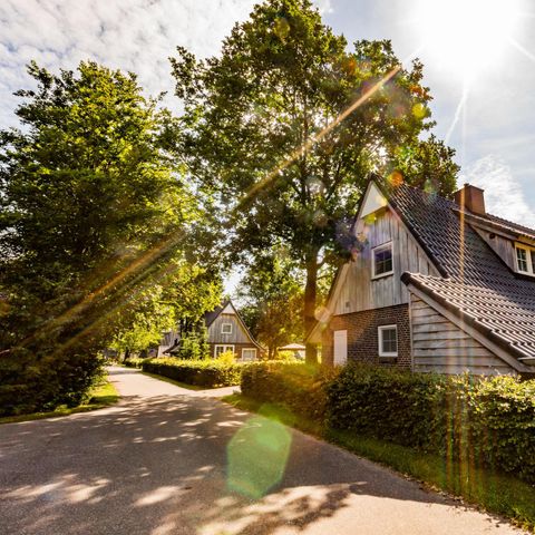 VAKANTIEHUIS 4 personen - Beukelaer Comfort