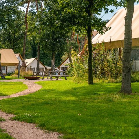 Tent 4 personen - tent Glamping