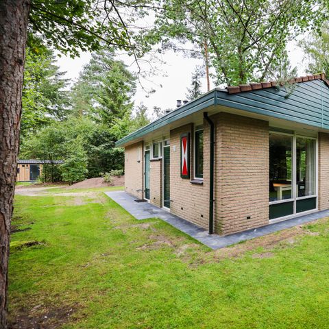 Bungalow 6 personen - Calluna