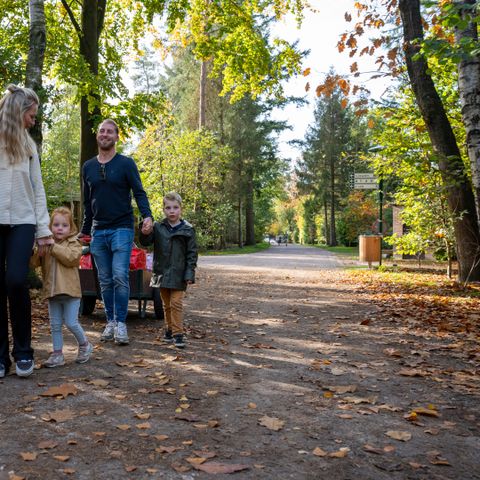 Recreatiepark De Paalberg - Ermelo - Afbeelding N°6