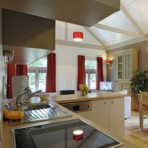 Bungalow 4 personen - Oasis