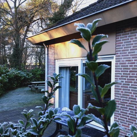 Bungalow 2 personen - Bungalow