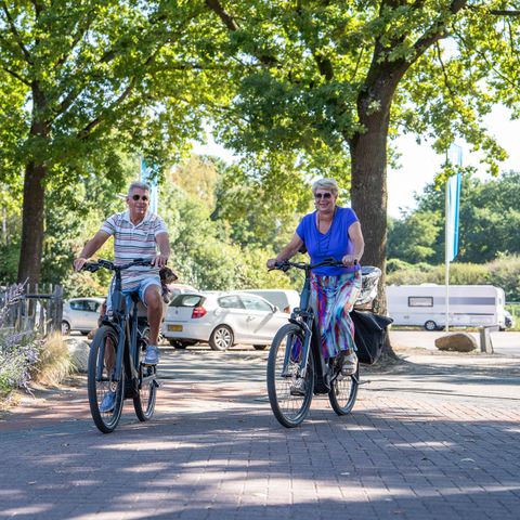 TopParken Résidence de Leuvert - Vught - Afbeelding N°6