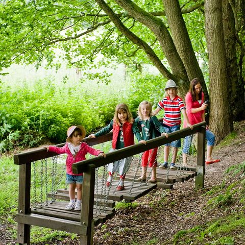 Ferienpark Ronshausen - Hessen - Afbeelding N°5