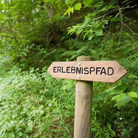 Ferienpark Ronshausen - Hessen - Afbeelding N°4