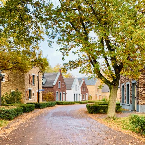 Dormio Resort Maastricht - Maastricht - Afbeelding N°4