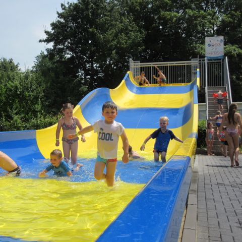 Recreatiecentrum de Vogel - Camping Hulst - Afbeelding N°5