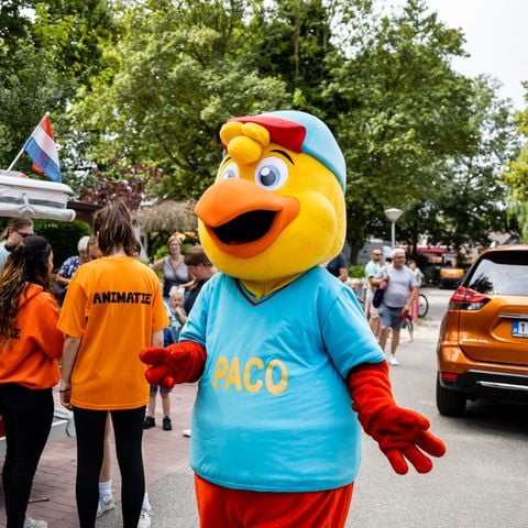 Recreatiecentrum de Vogel - Hulst - Afbeelding N°4