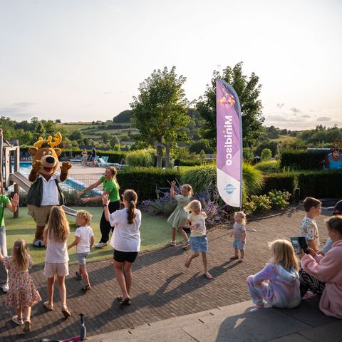 TopParken Résidence Valkenburg - Valkenburg an der Geul - Afbeelding N°4