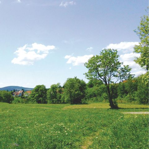 Appartement 4 personen - 2+2 Kids DAN908