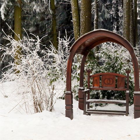 Appartement 4 personen - 2+2 Kids DAN908