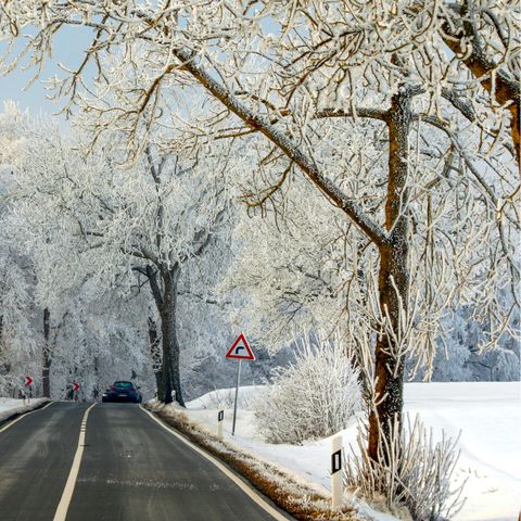 VAKANTIEHUIS 4 personen - 2+2 Kids DAN911