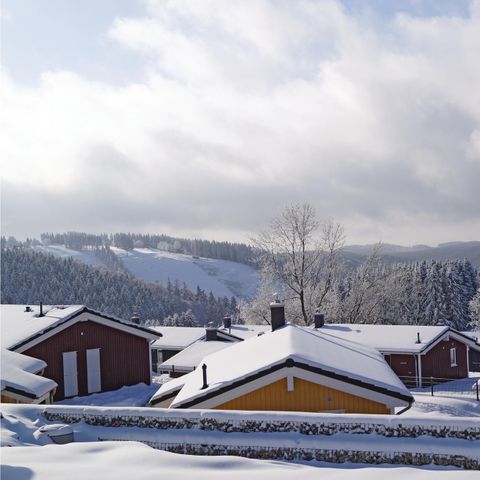 VAKANTIEHUIS 4 personen - 2+2 Kids DAN904