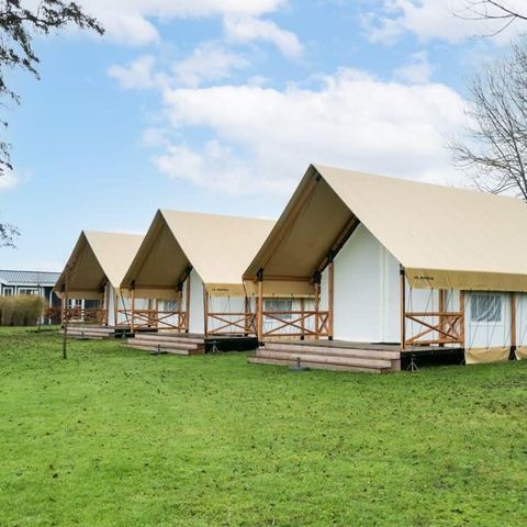 tent 6 personen - tent Glamping