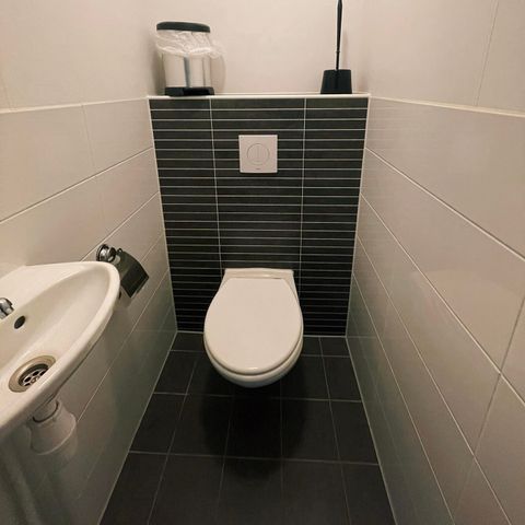 LODGE 6 personen - Comfort (50 m²)