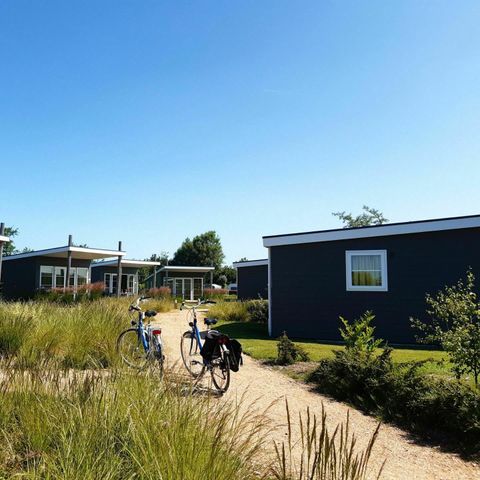 LODGE 6 personen - Comfort (50 m²)