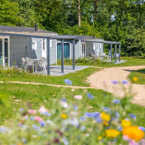 Molecaten Park De Agnietenberg - Camping Zwolle - Afbeelding N°6