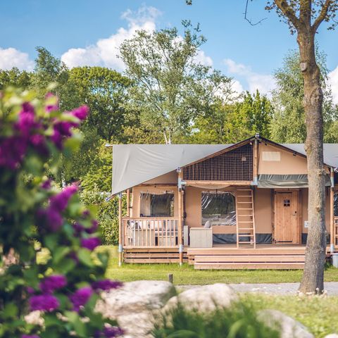 tent 8 personen - Safaritent Edelhert