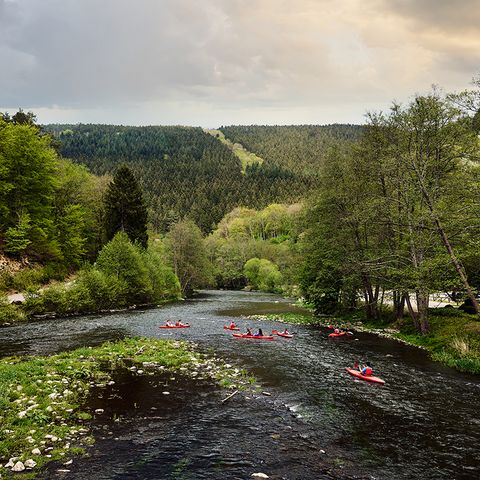 Center Parcs Les Ardennes - Belgisch-Luxemburg - Afbeelding N°3