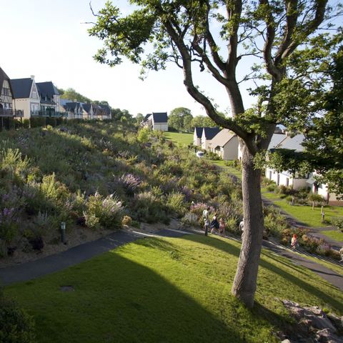 Pierre & Vacances Premium Résidence & Spa - Camping Calvados - Afbeelding N°5