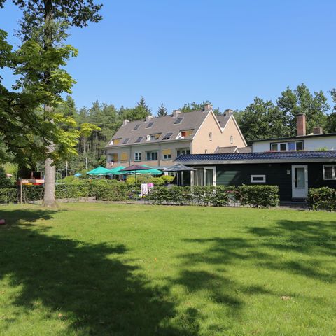 Vakantiepark Bonte Vlucht - Camping Utrechtse Heuvelrug - Afbeelding N°6