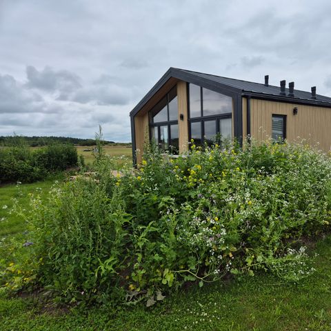 VAKANTIEHUIS 4 personen - Type Dommel | 4 personen