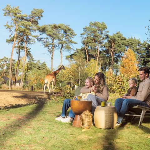 Safari Resort Beekse Bergen - Hilvarenbeek - Afbeelding N°4