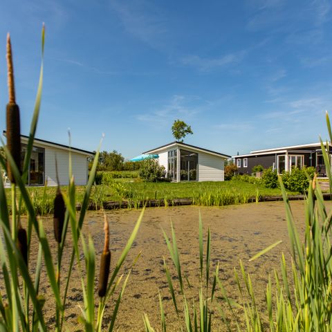 Bungalow 5 personen - Rialto