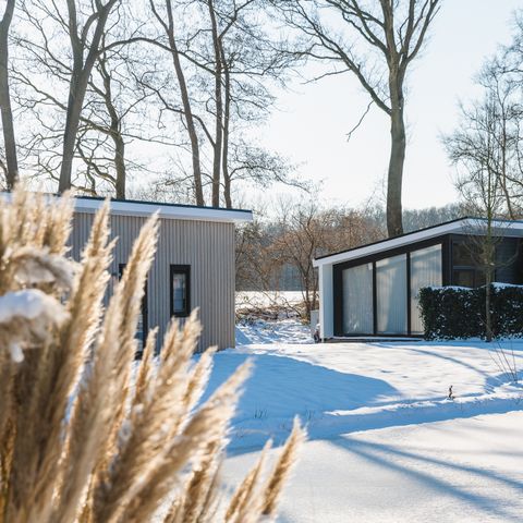 Vakantiepark De Lochemse Berg - Lochem - Afbeelding N°6