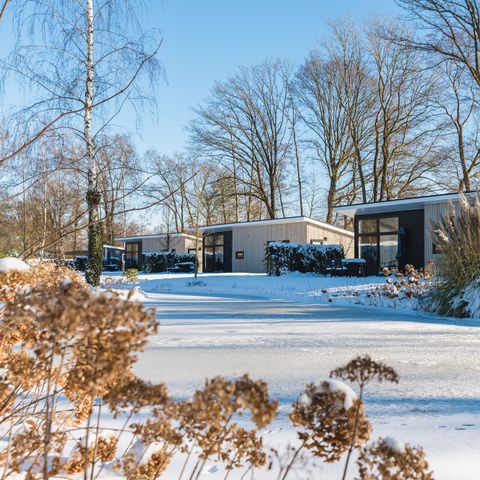 Vakantiepark De Lochemse Berg - Lochem - Afbeelding N°5